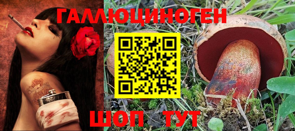 Галлюциногенные грибы MAGIC MUSHROOMS  Псилоцибиновые грибы прущие грибы  Вход с VPN  Тосно 