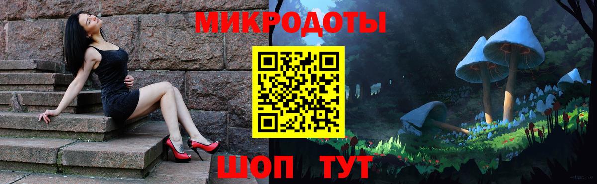 Галлюциногенные грибы Psilocybe Тосно